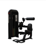 Nautilus Inspiration Back Extension